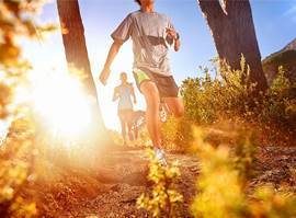 適合人群 適合人群