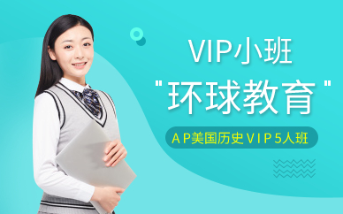 广州AP美国历史VIP5人班