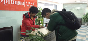 欧风培训中心接待室