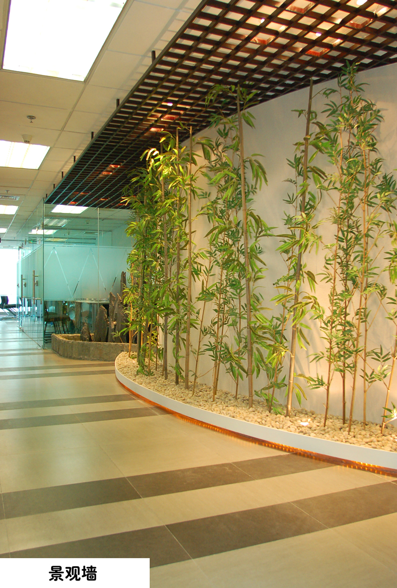 學(xué)校環(huán)境