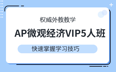 广州AP微观经济VIP5人班