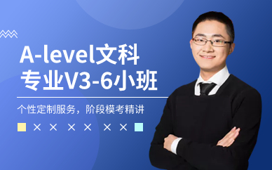广州A-level文科专业V3-6小班