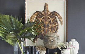 家装设计 家装设计