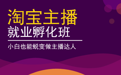 广州淘宝主播就业孵化班