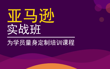 广州亚马逊实战班