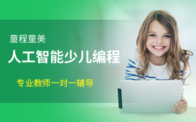 广州人工智能少儿编程班