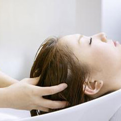 洗护美容课程 洗护美容课程