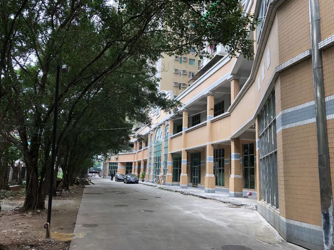 学校环境