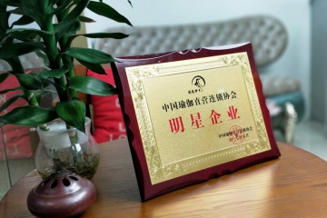 資質(zhì)榮譽(yù)