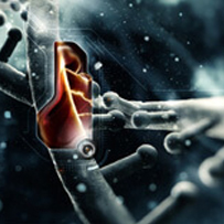 就业面广 就业面广