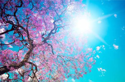 商业摄影班课程 商业摄影班课程