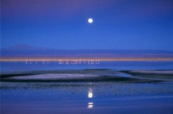 数码设计班课程 数码设计班课程