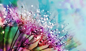 u=3592977303,1264445757&fm=11&gp=0 u=3592977303,1264445757&fm=11&gp=0