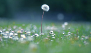 广州淘宝摄影培训班哪里好？广州爱摄影怎么样？