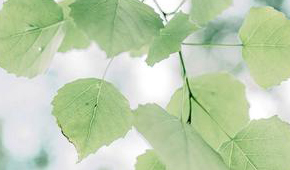 广州爱摄影培训学校怎么样?摄影兴趣班好不好？