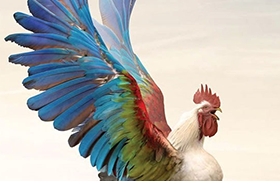 平面设计常用四软件+实操实训 平面设计常用四软件+实操实训