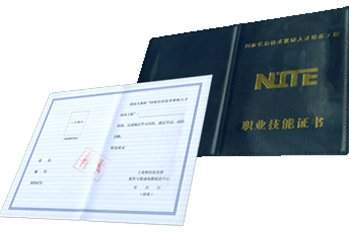 就业服务2 就业服务2