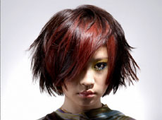 课程介绍 课程介绍