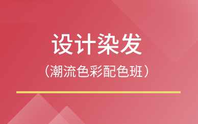 广州设计染发（潮流色彩配色班）