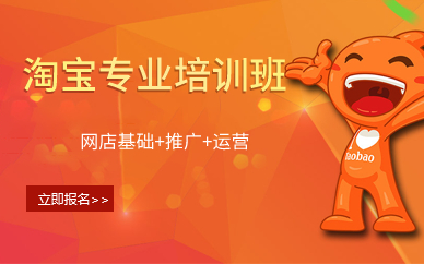 广州淘宝专业培训班