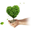 金莎办学宗旨和理念配图