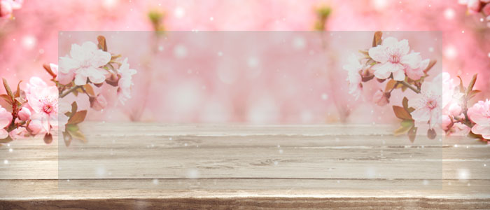 新世界外语培训学校日语n3培训班