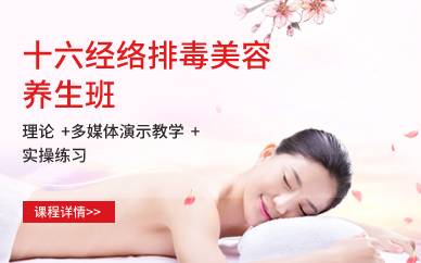 广州十六经络排毒美容养生班