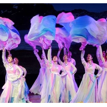 中國舞專業(yè)系統(tǒng)班配圖