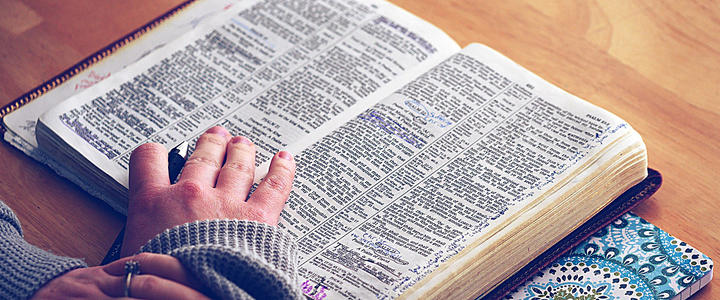 新世界日语一对一培训班