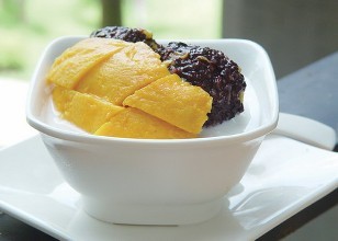 培訓內容 培訓內容