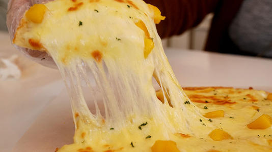 芝士學(xué)習(xí)方式 芝士學(xué)習(xí)方式