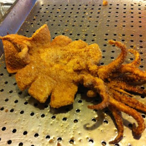 培訓內容 培訓內容