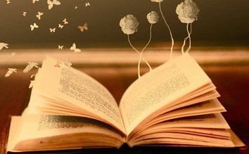 宋雨森 宋雨森