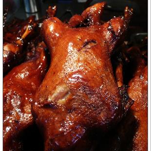 项目介绍 项目介绍