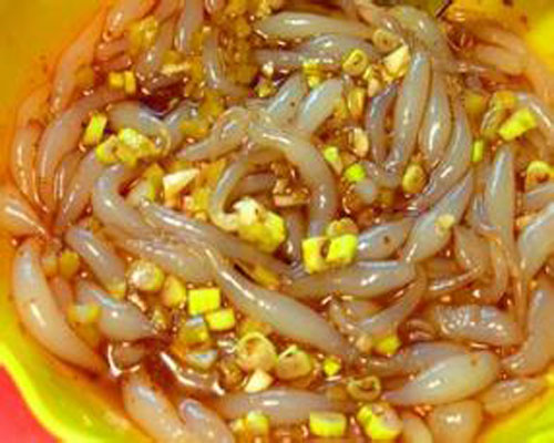 炒粉鱼培训 炒粉鱼培训