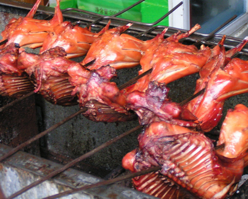 烤兔肉学习方式 烤兔肉学习方式