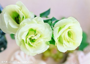 D班(仿真花、 花艺艺饰品设计)