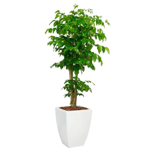 u=2652978091,569777658&fm=26&gp=0