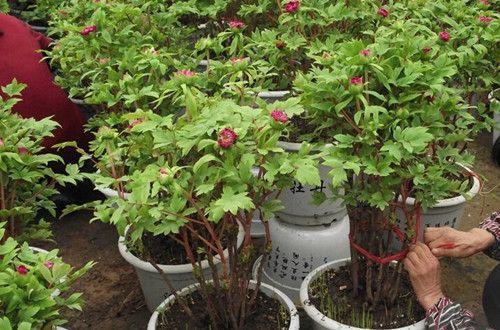 广州市欧意美职业培训学校