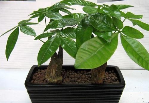 广州市欧意美职业培训学校