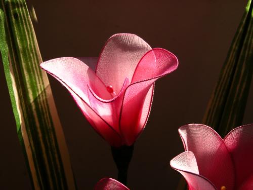 广州市欧意美职业培训学校