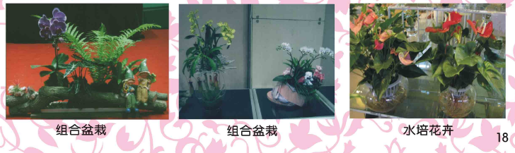 广州水培培训班　　