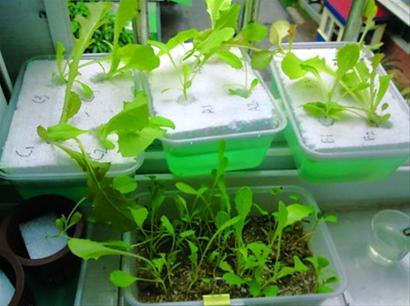 广州市欧意美职业培训学校