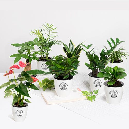 广州市欧意美职业培训学校