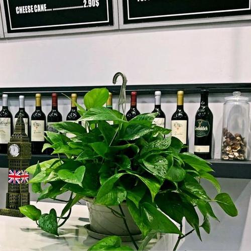 广州市欧意美职业培训学校