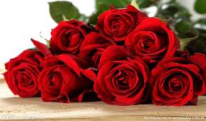 广州欧意美怎么样？靠谱吗？