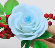 广州时尚全能创业课程 广州时尚全能创业课程