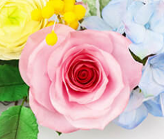 广州时尚全能创业课程 广州时尚全能创业课程