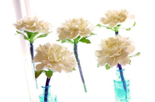 选择萌货的理由