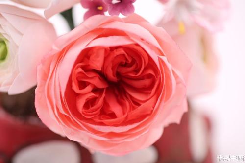 选择萌货的理由